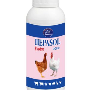 Hepasol